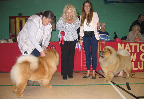 National Chow Chow Club