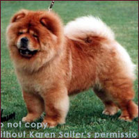 National Chow Chow Club