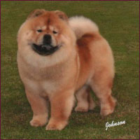 National Chow Chow Club