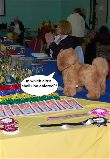 The Chow Chow Club