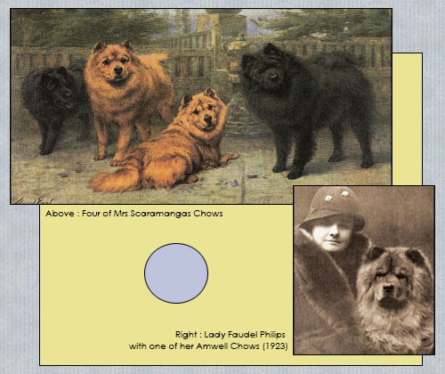 The Chow Chow Club