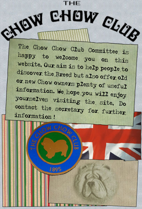 The Chow Chow Club