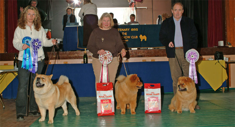 The Chow Chow Club