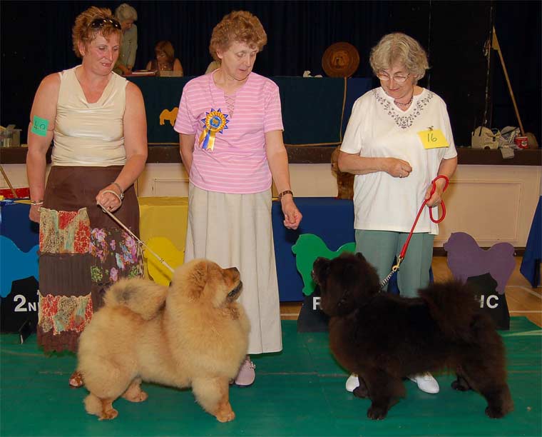 The Chow Chow Club