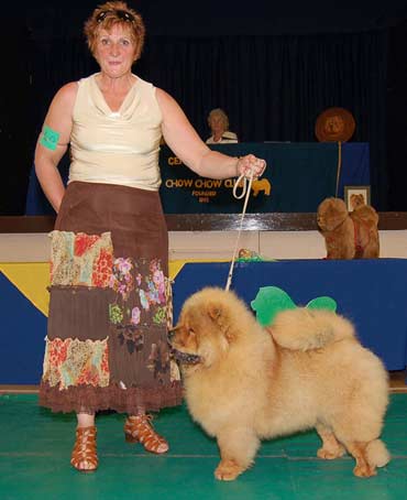 The Chow Chow Club