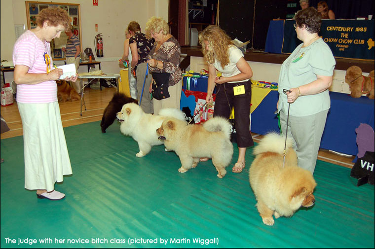 The Chow Chow Club