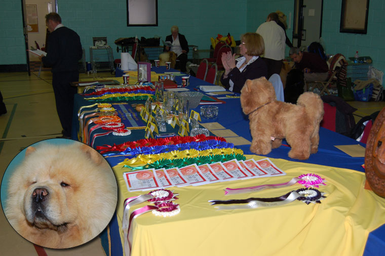 The Chow Chow Club