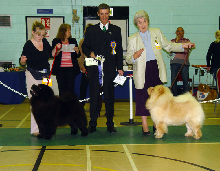 The Chow Chow Club