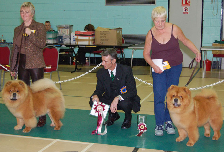 The Chow Chow Club