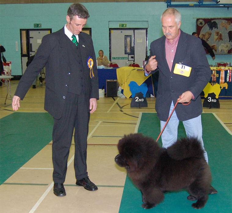 The Chow Chow Club