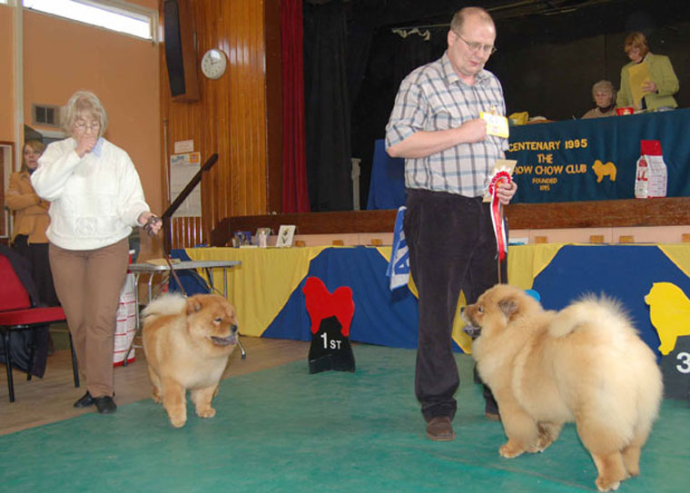 The Chow Chow Club