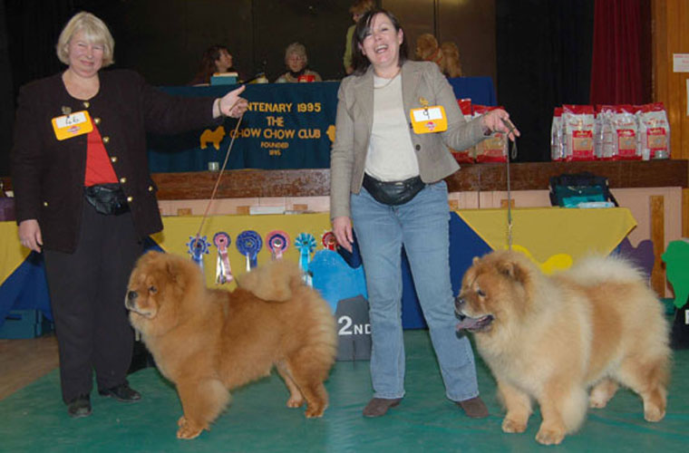 The Chow Chow Club
