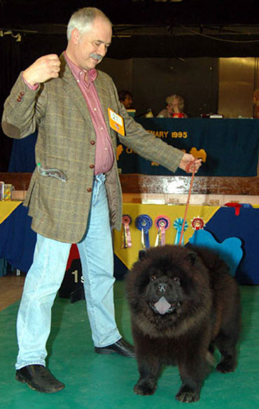 The Chow Chow Club