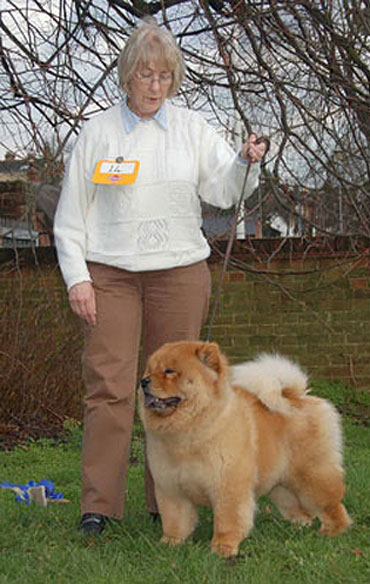 The Chow Chow Club