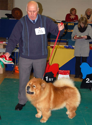 The Chow Chow Club