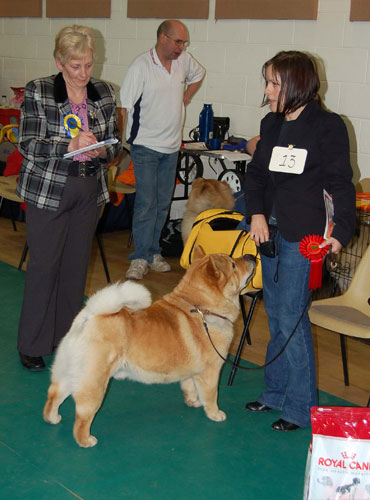 The Chow Chow Club
