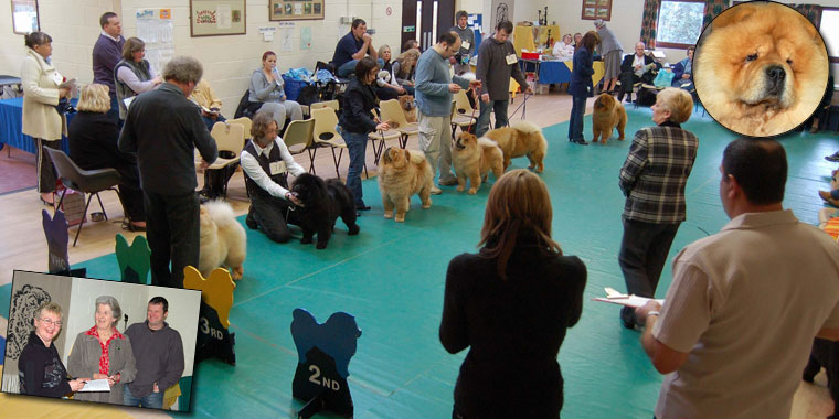 The Chow Chow Club