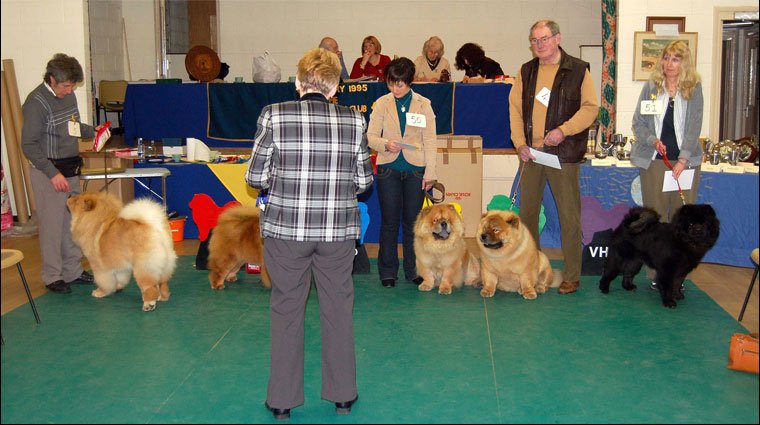 The Chow Chow Club