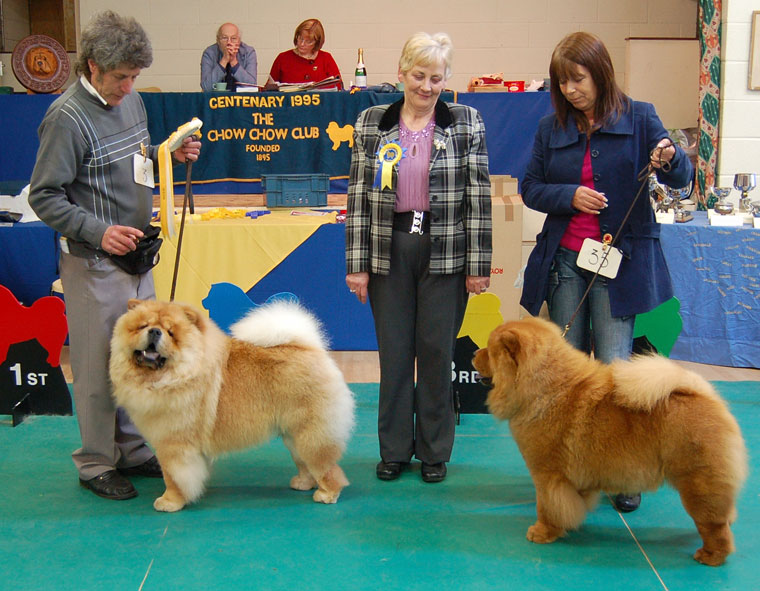 The Chow Chow Club