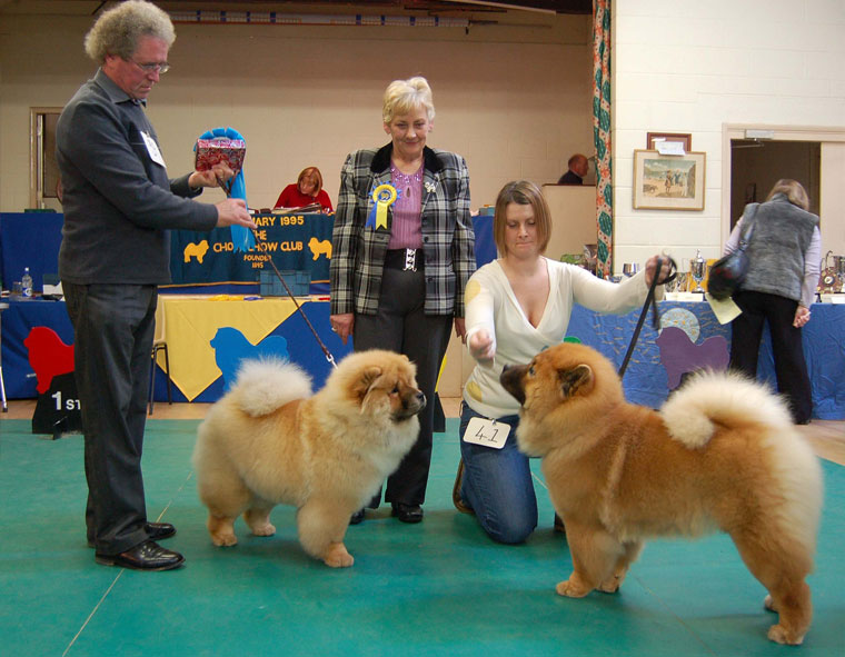 The Chow Chow Club