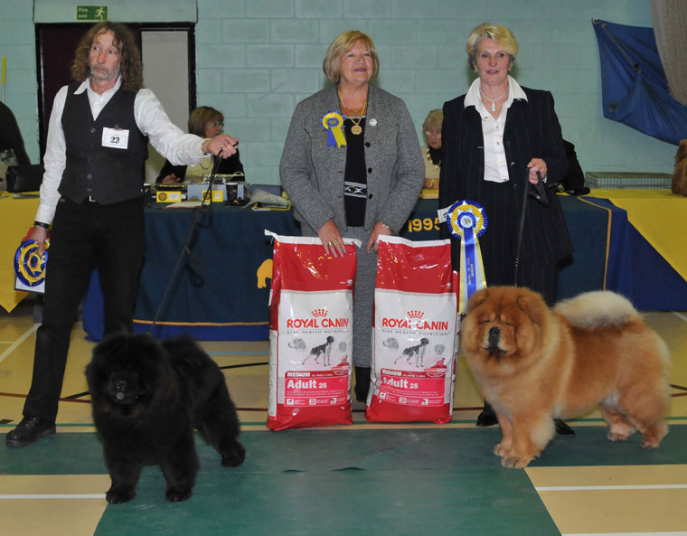 The Chow Chow Club
