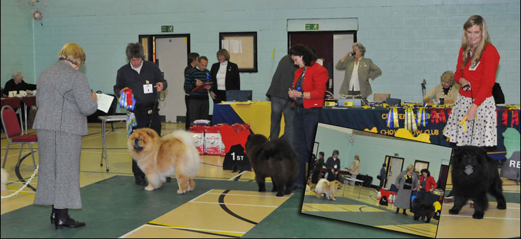 The Chow Chow Club