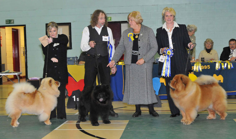 The Chow Chow Club