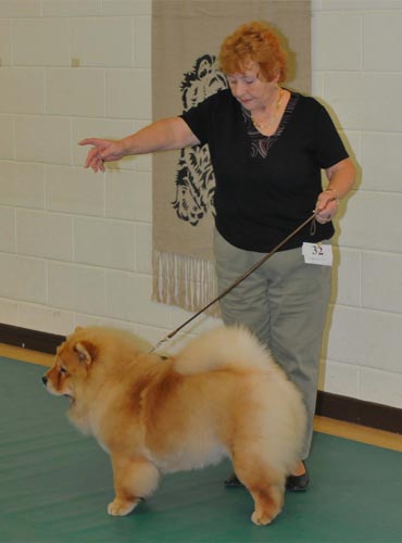 The Chow Chow Club