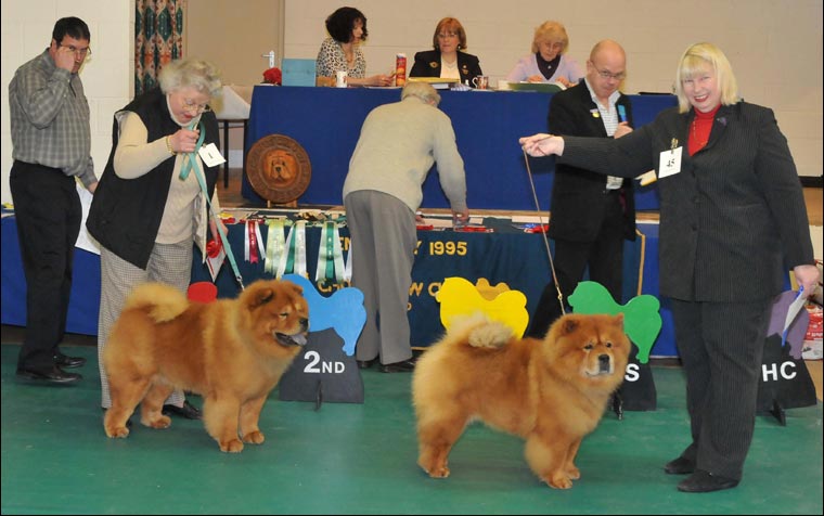 The Chow Chow Club
