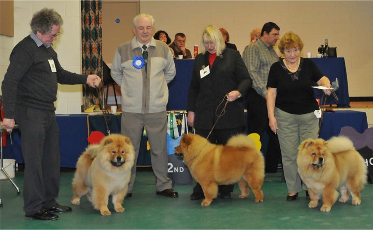 The Chow Chow Club
