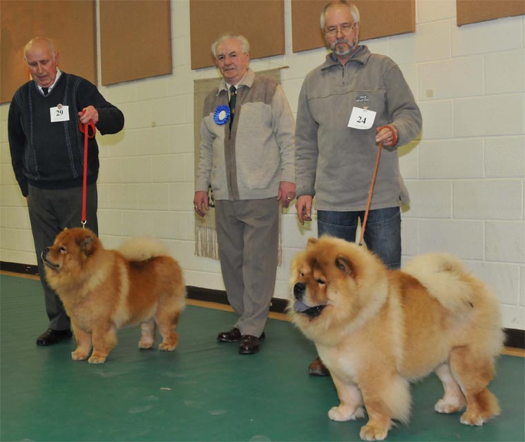 The Chow Chow Club
