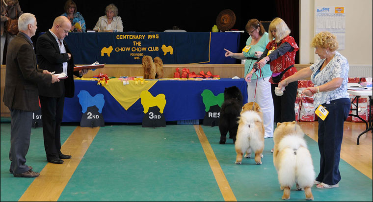 The Chow Chow Club