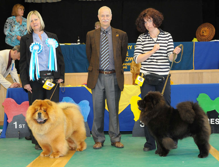 The Chow Chow Club
