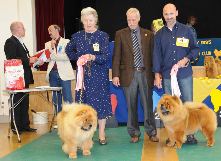 The Chow Chow Club