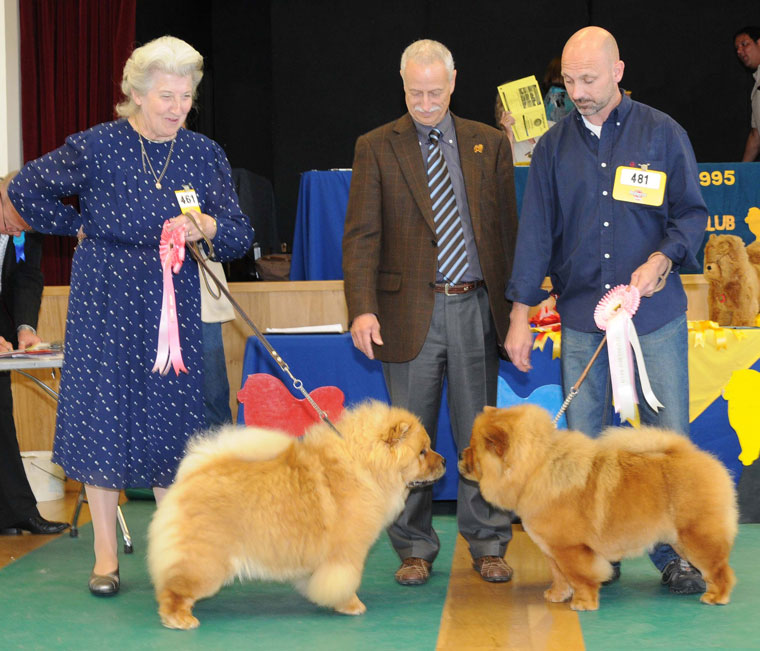 The Chow Chow Club
