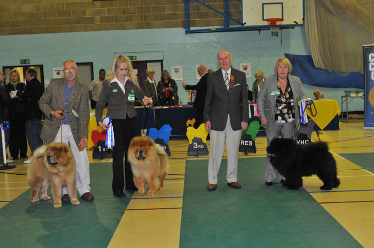 The Chow Chow Club