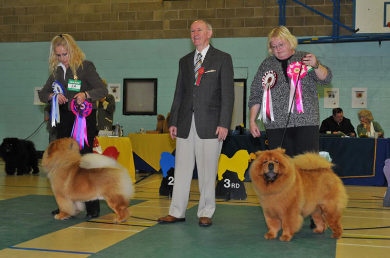 The Chow Chow Club