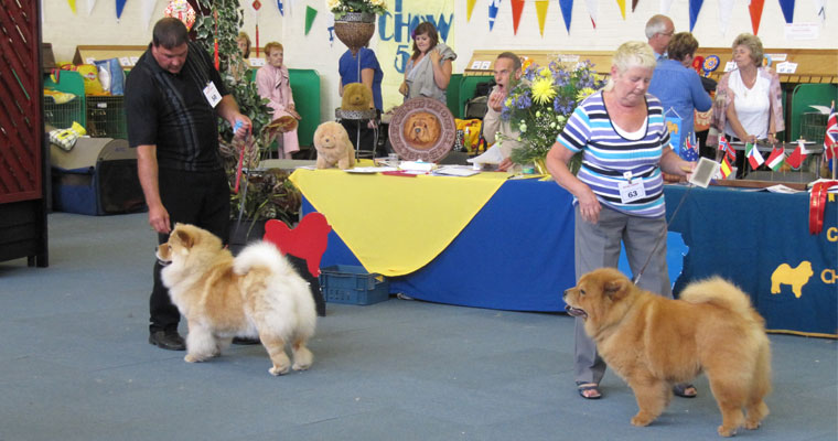 The Chow Chow Club