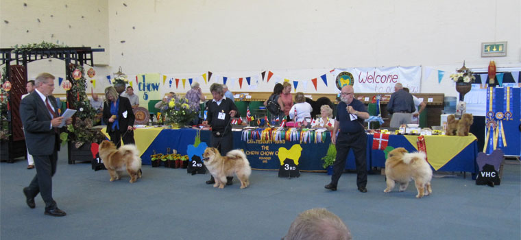 The Chow Chow Club