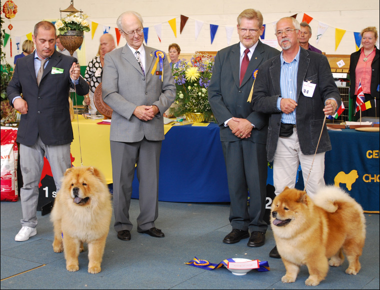 The Chow Chow Club