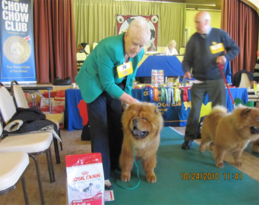 The Chow Chow Club