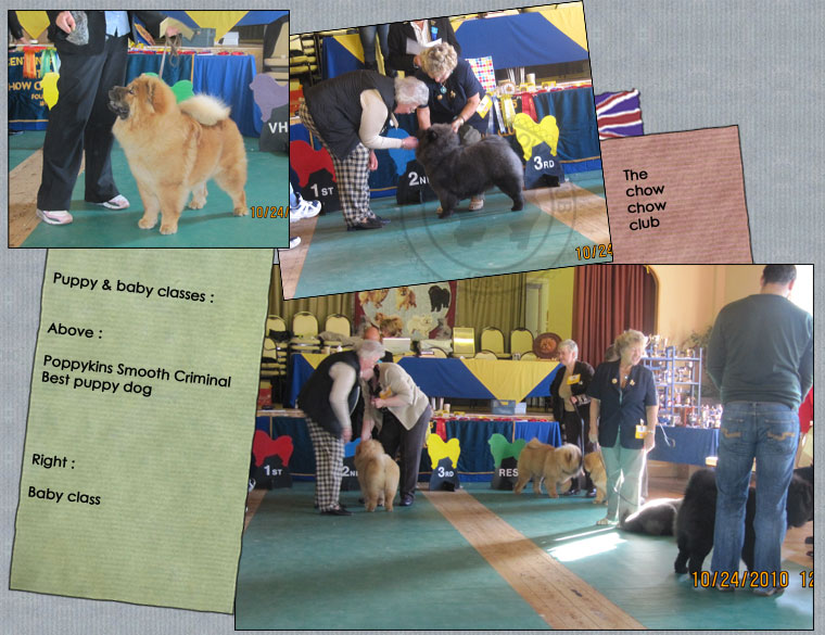 The Chow Chow Club