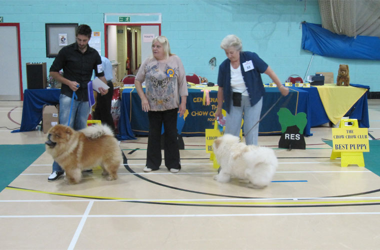 The Chow Chow Club