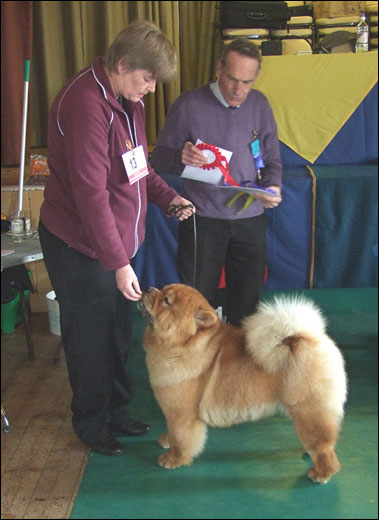 The Chow Chow Club