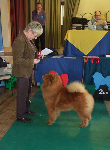 The Chow Chow Club