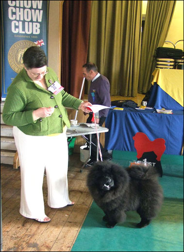 The Chow Chow Club