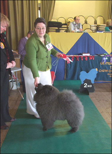 The Chow Chow Club