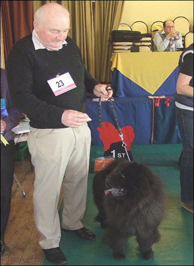 The Chow Chow Club