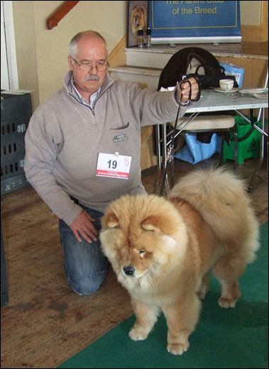The Chow Chow Club