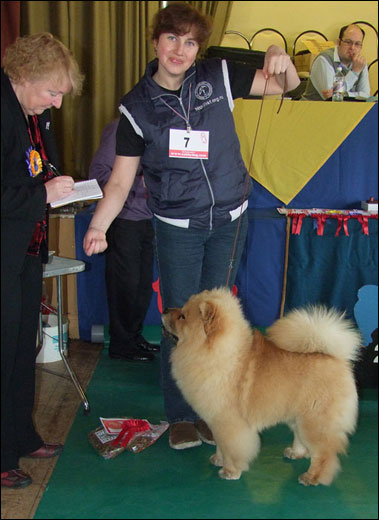The Chow Chow Club